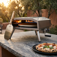 16 In. Propane Pizza Oven, Outdoor Pizza Oven in Stainless Steel, W/Rotating Pizza Stone — Studio Shot